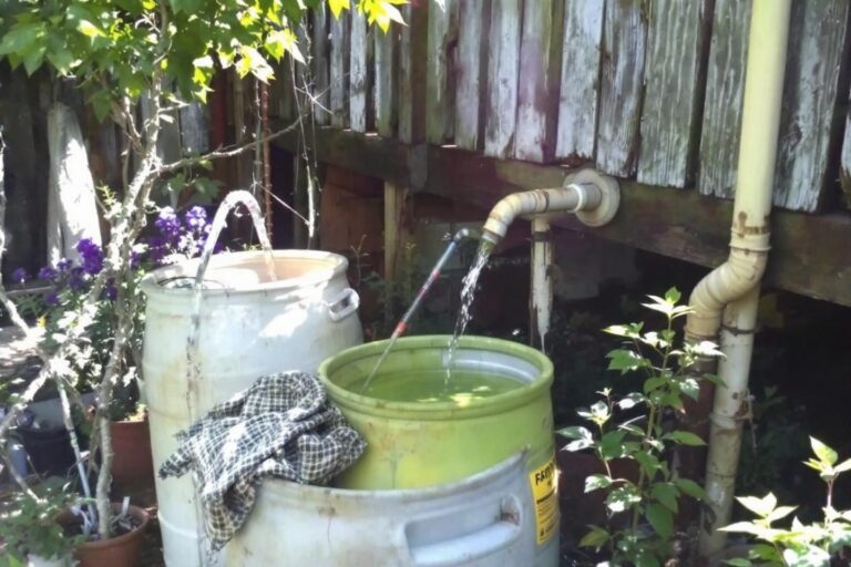 Récupérer l'eau de pluie sur un terrain : guide complet 2025